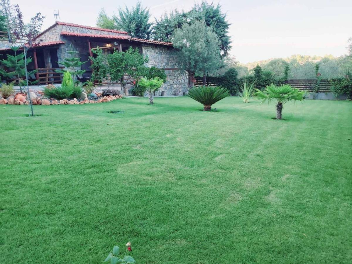 אורמוס פנגיאס Dimitris' Villas - Villa 1 מראה חיצוני תמונה
