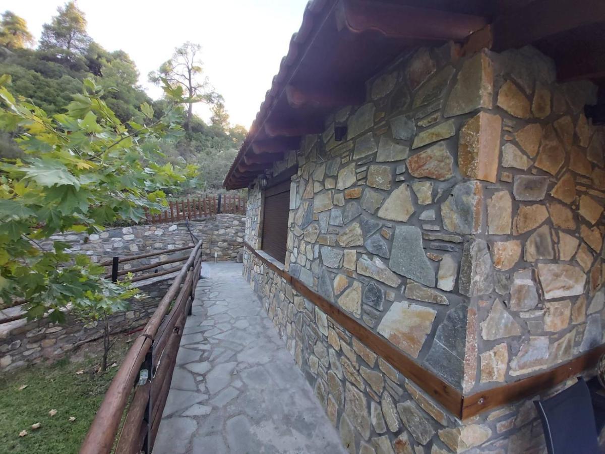אורמוס פנגיאס Dimitris' Villas - Villa 1 מראה חיצוני תמונה