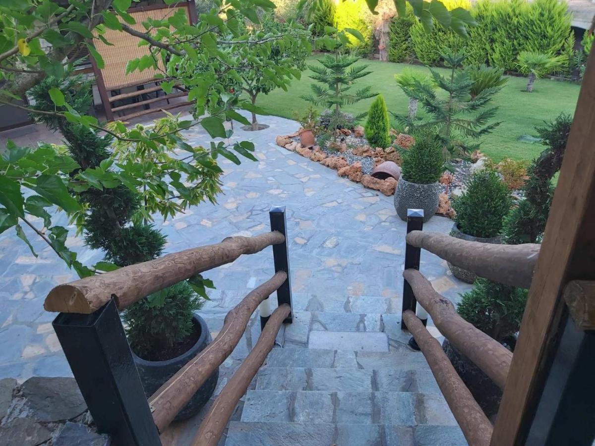 אורמוס פנגיאס Dimitris' Villas - Villa 1 מראה חיצוני תמונה